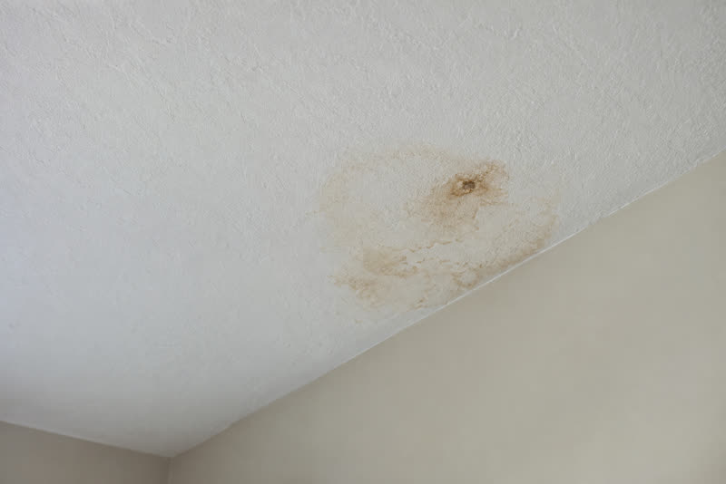 A subtle brown water stain on a white painted ceiling.